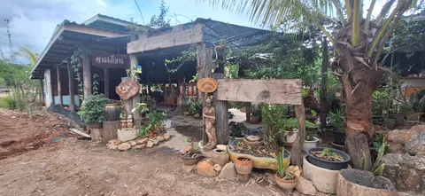 ทางเข้าบ้าน ต้นปาล์ม รูปปั้น และซุ้มไม้